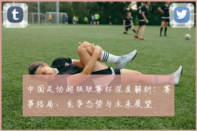 中国足协超级联赛杯深度解析：赛事格局、竞争态势与未来展望