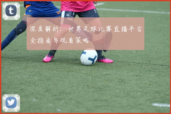 深度解析：世界足球比赛直播平台全指南与观看策略