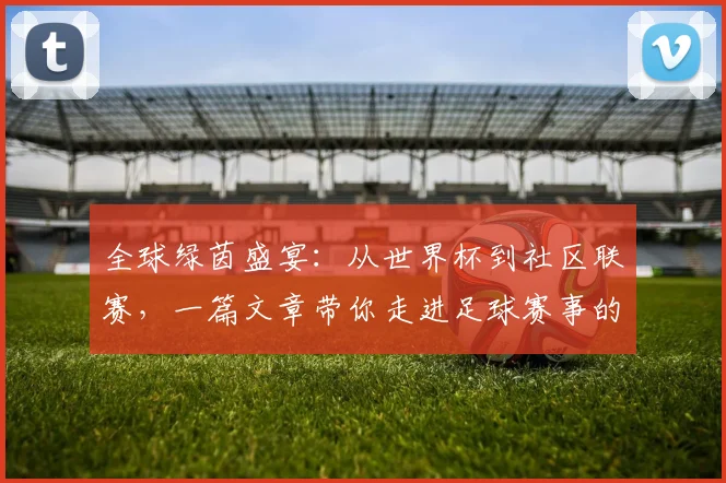 全球绿茵盛宴：从世界杯到社区联赛，一篇文章带你走进足球赛事的浩瀚世界