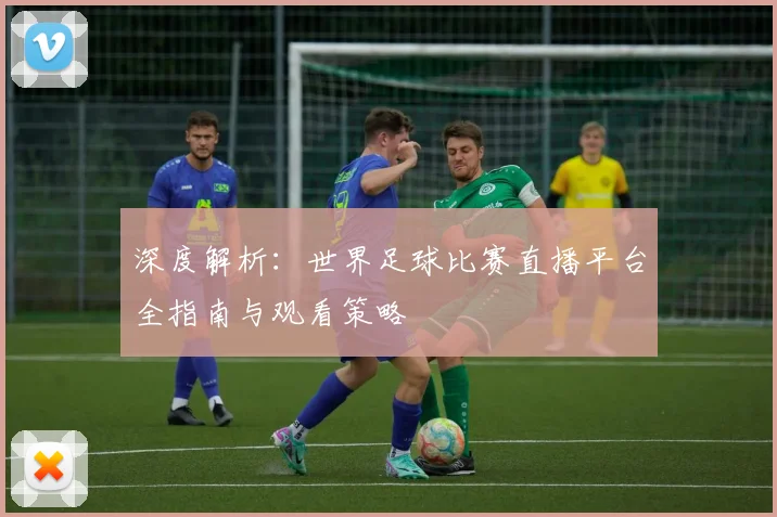 深度解析：世界足球比赛直播平台全指南与观看策略