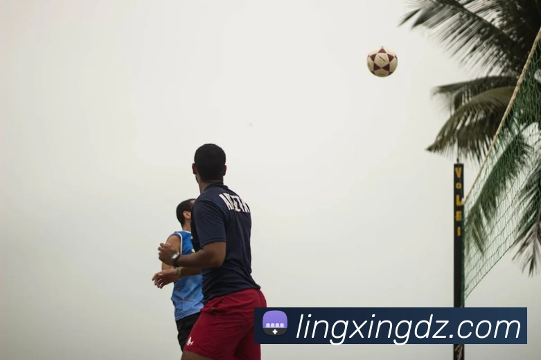 App Interface Preview